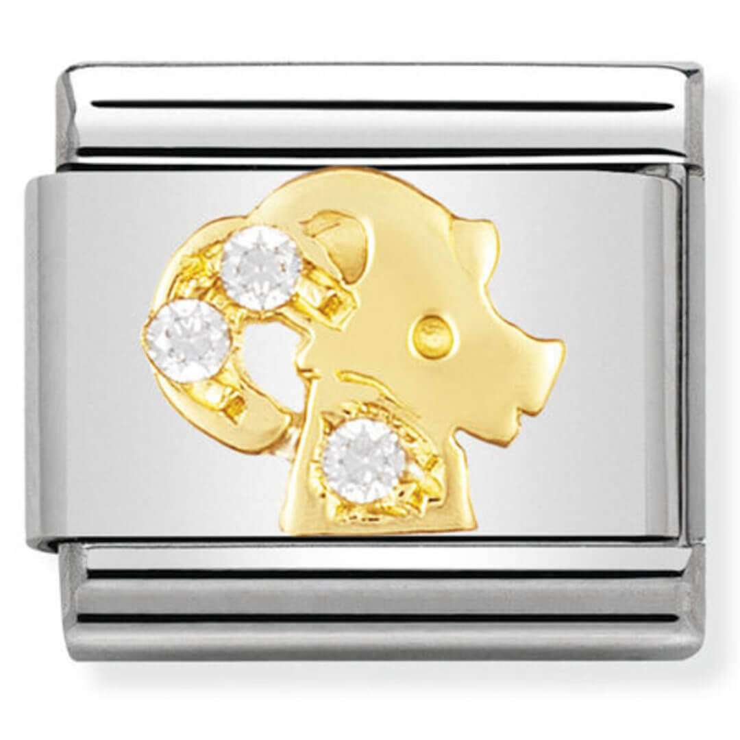 Nomination Gold Capricorn